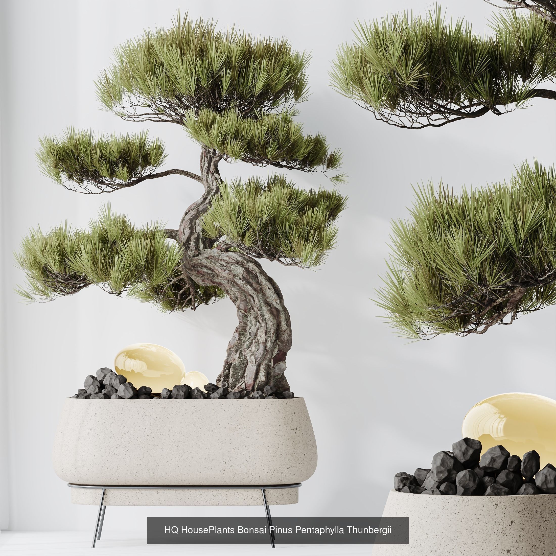 6 Different SETS of Plant Indoor SET VOL130 3D Model Collection_7