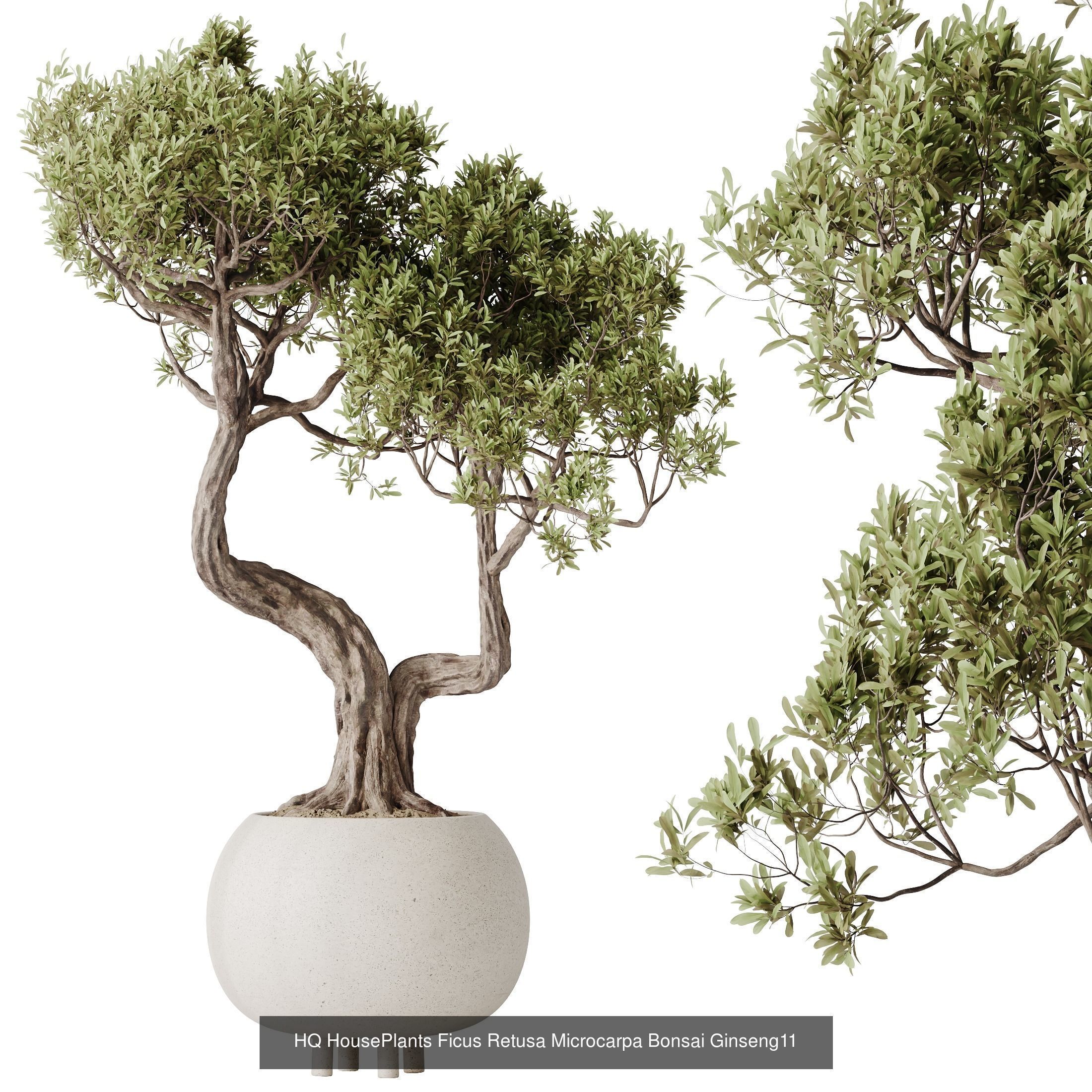 6 Different SETS of Plant Indoor SET VOL130 3D Model Collection_6