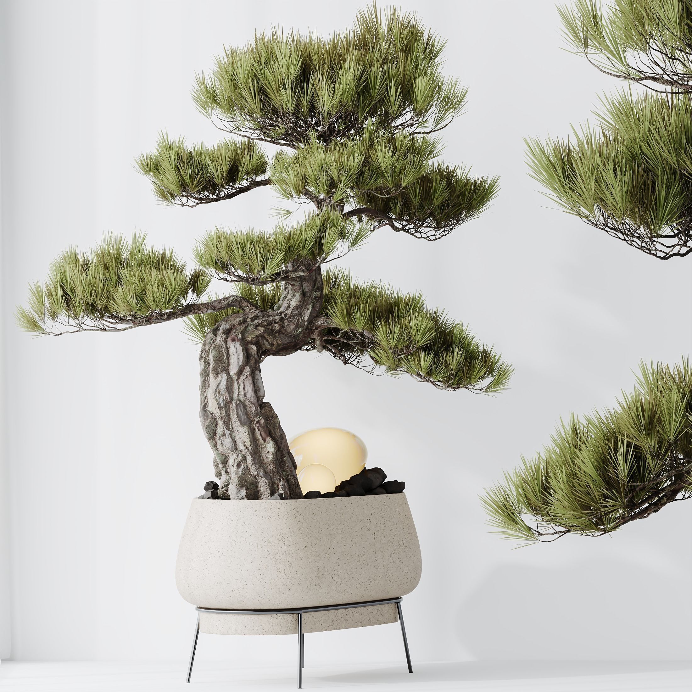 6 Different SETS of Plant Indoor SET VOL130 3D Model Collection_8