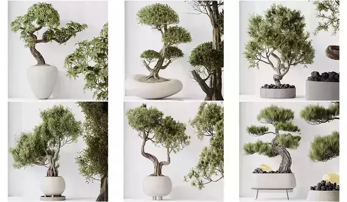 6 Different SETS of Plant Indoor SET VOL130 3D Model Collection