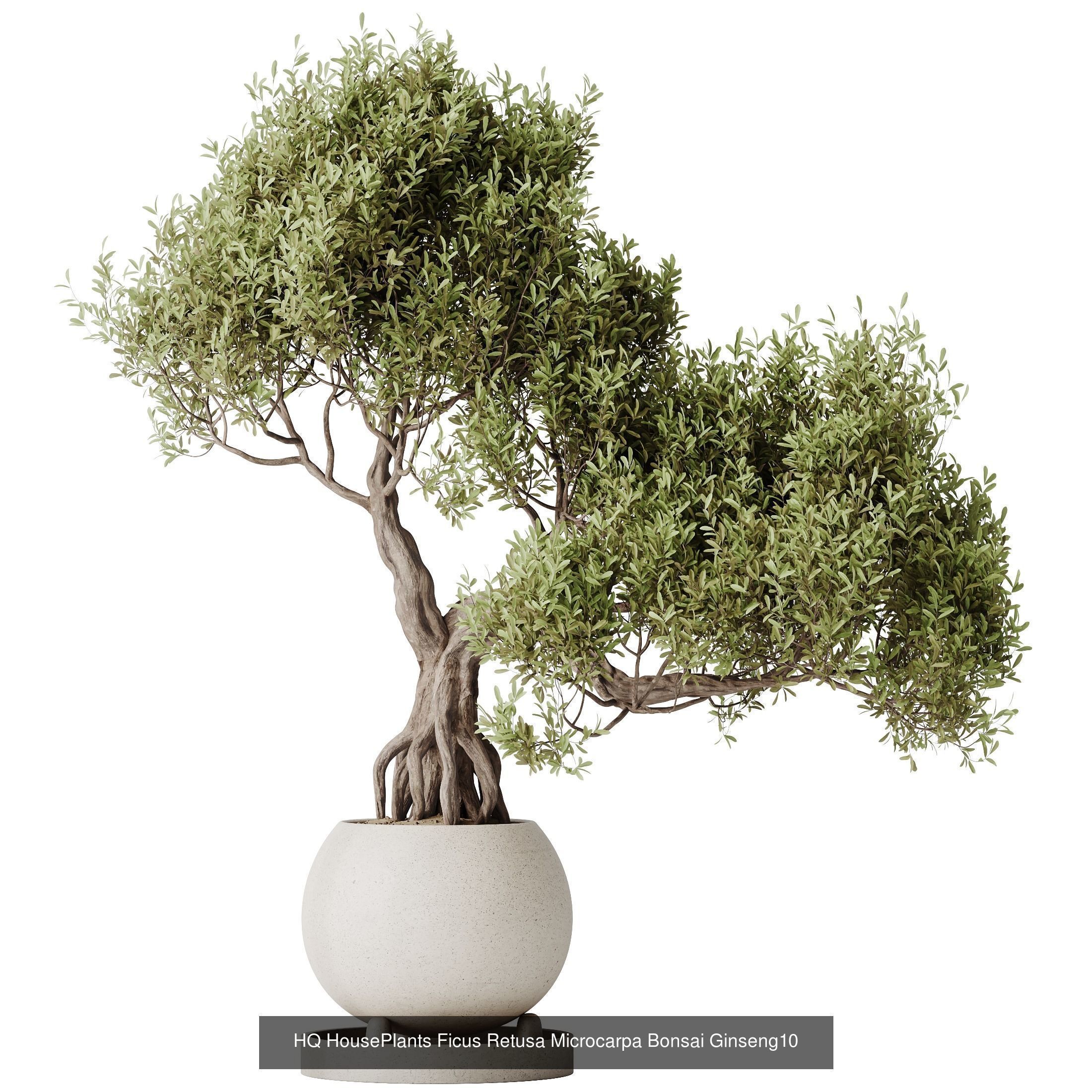 6 Different SETS of Plant Indoor SET VOL130 3D Model Collection_5