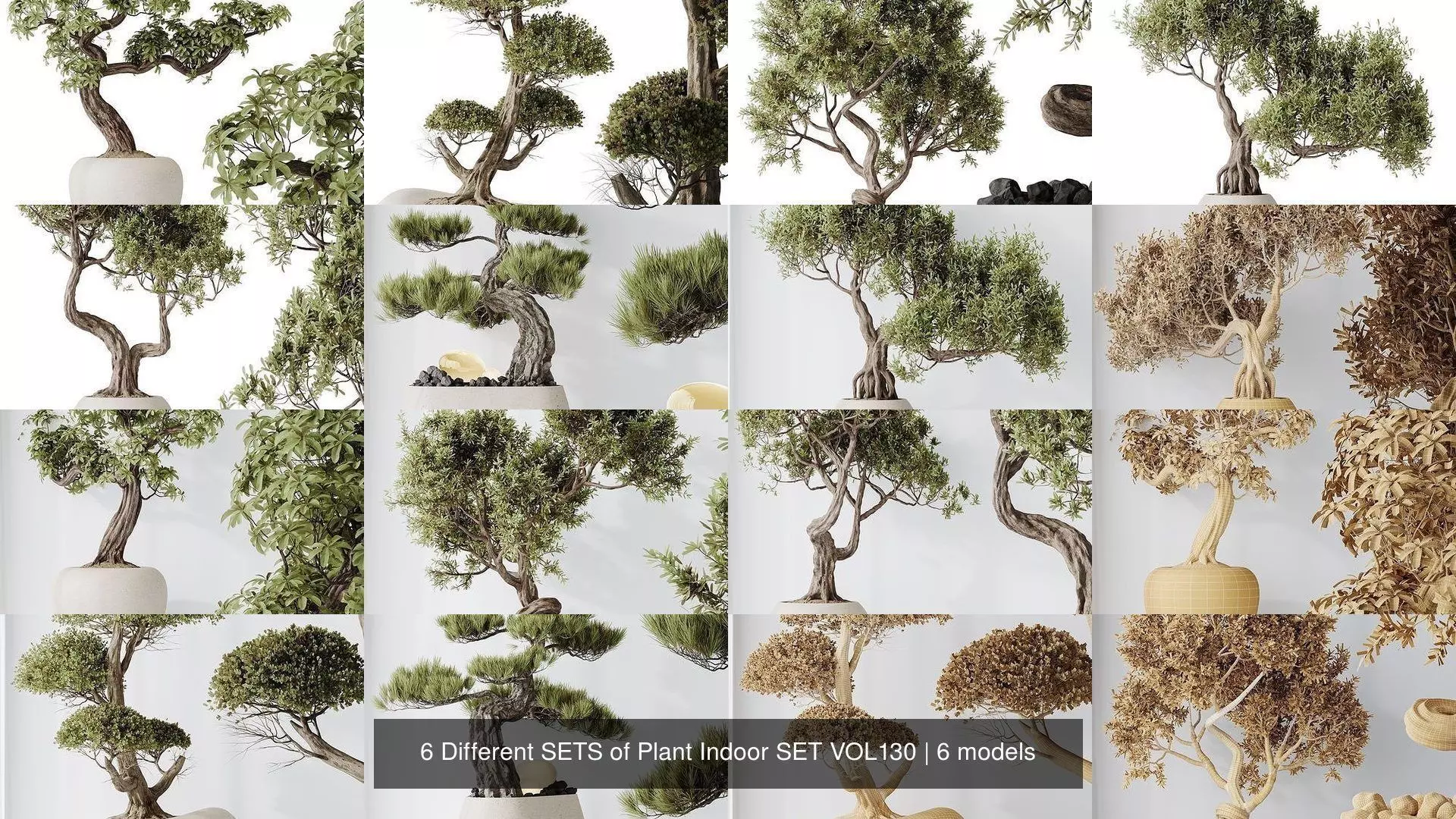 6 Different SETS of Plant Indoor SET VOL130 3D Model Collection_1
