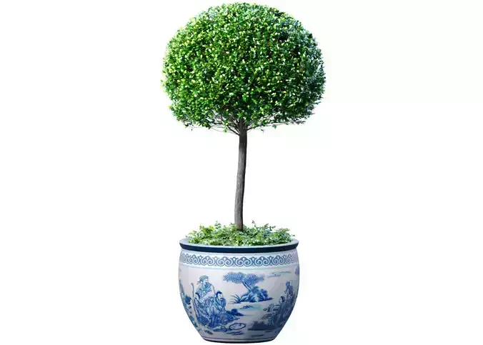 Ornamental plant Boxwood in a Chinese vase 3D model