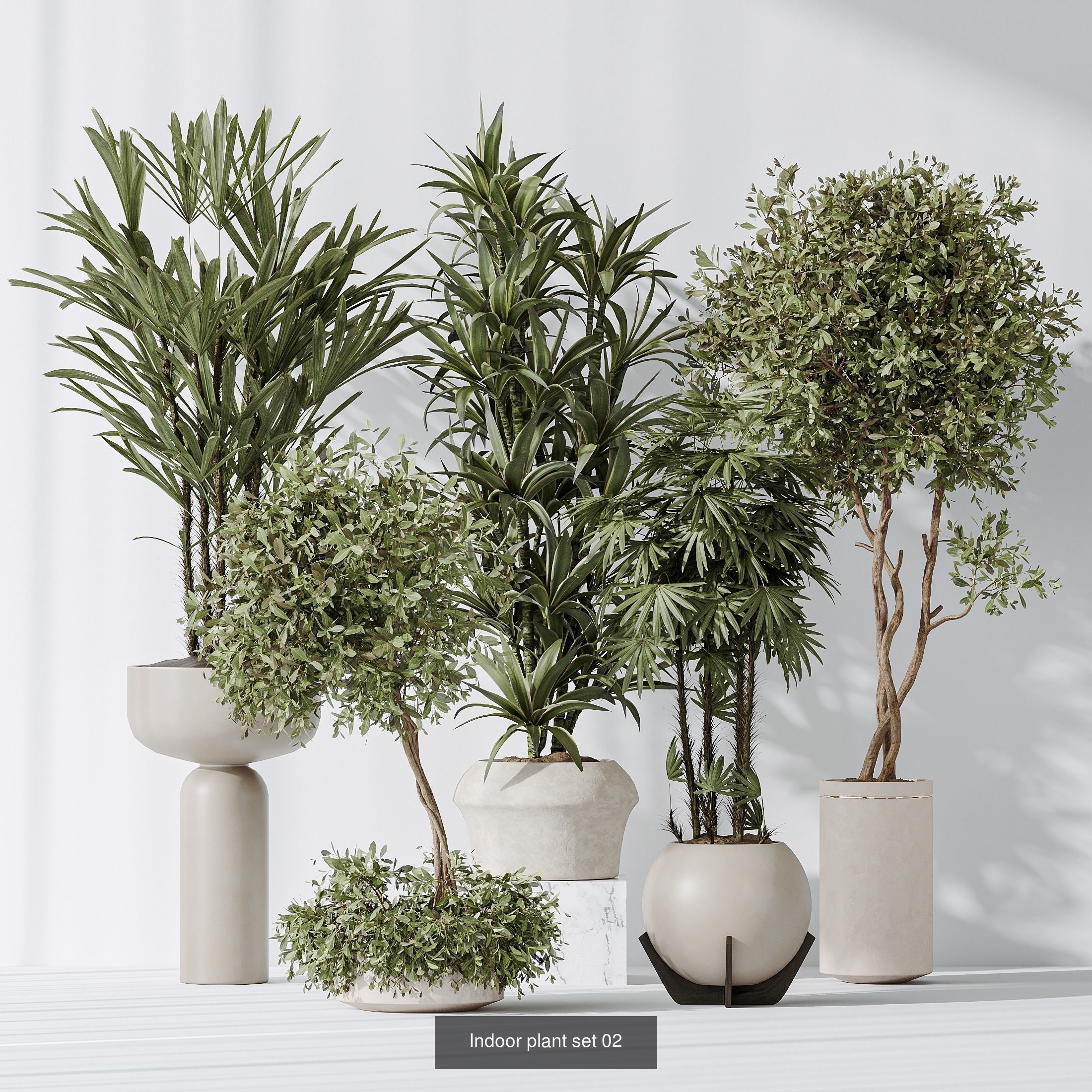 6 Different SETS of Plant Indoor SET VOL131 3D Model Collection_5