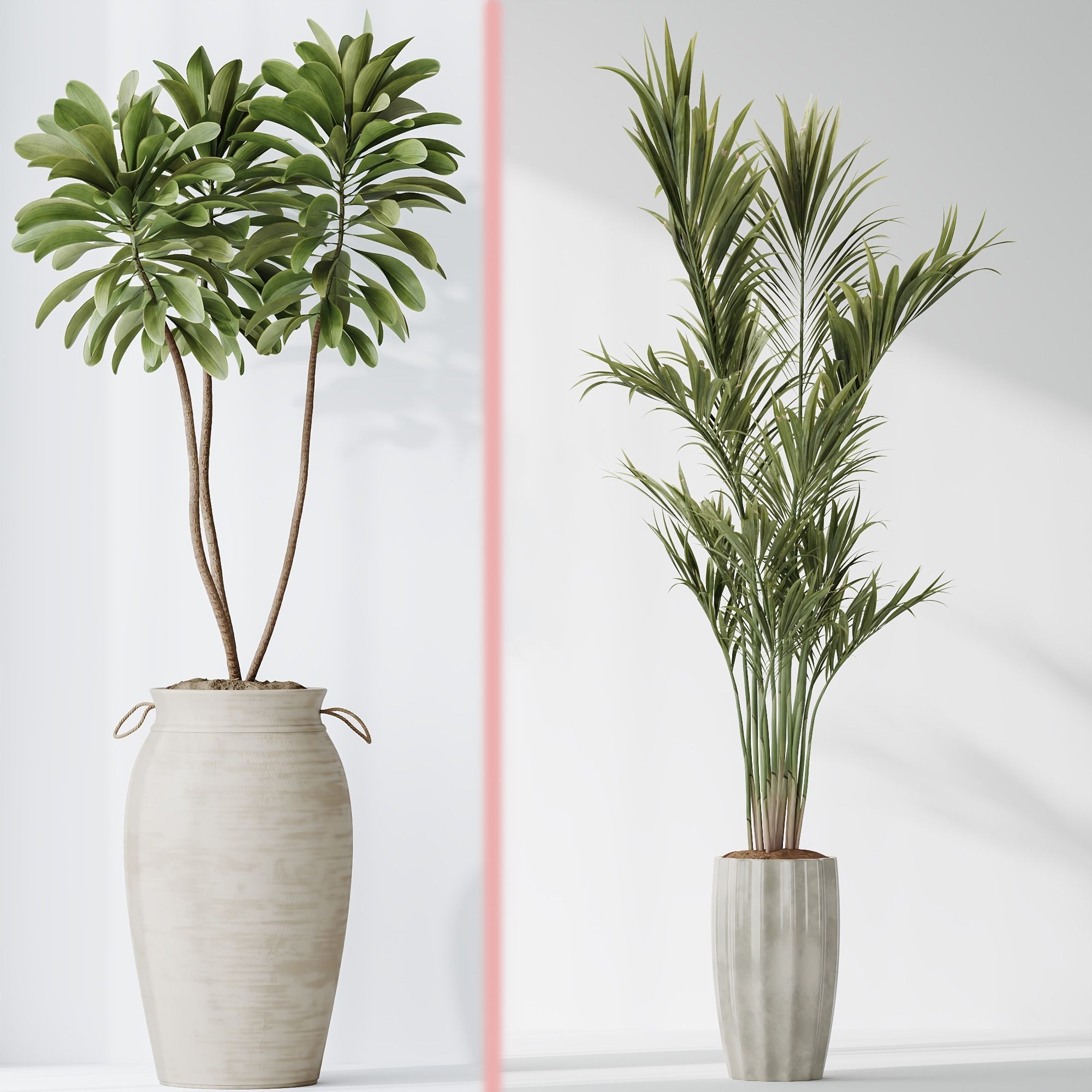 6 Different SETS of Plant Indoor SET VOL131 3D Model Collection_10