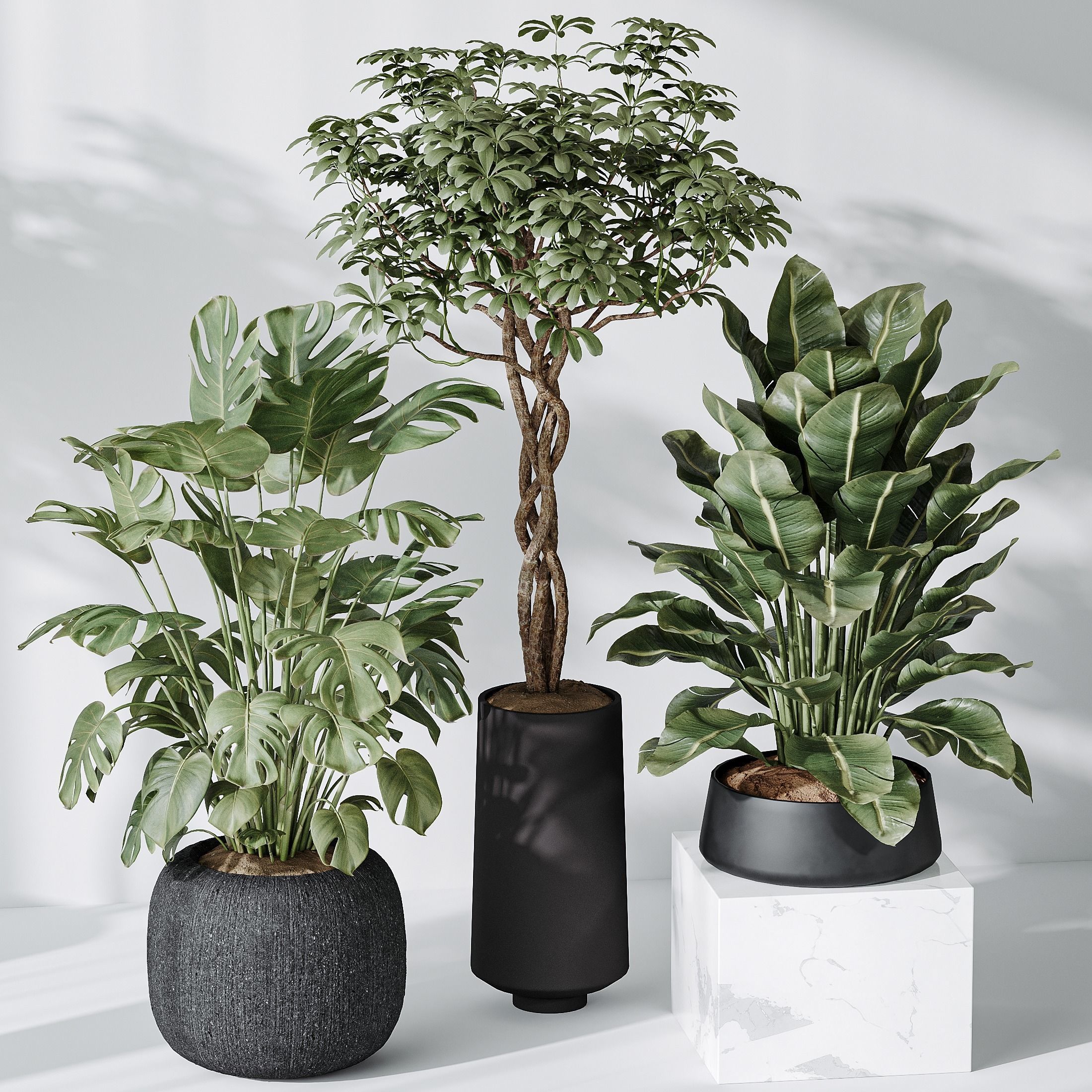 6 Different SETS of Plant Indoor SET VOL131 3D Model Collection_22