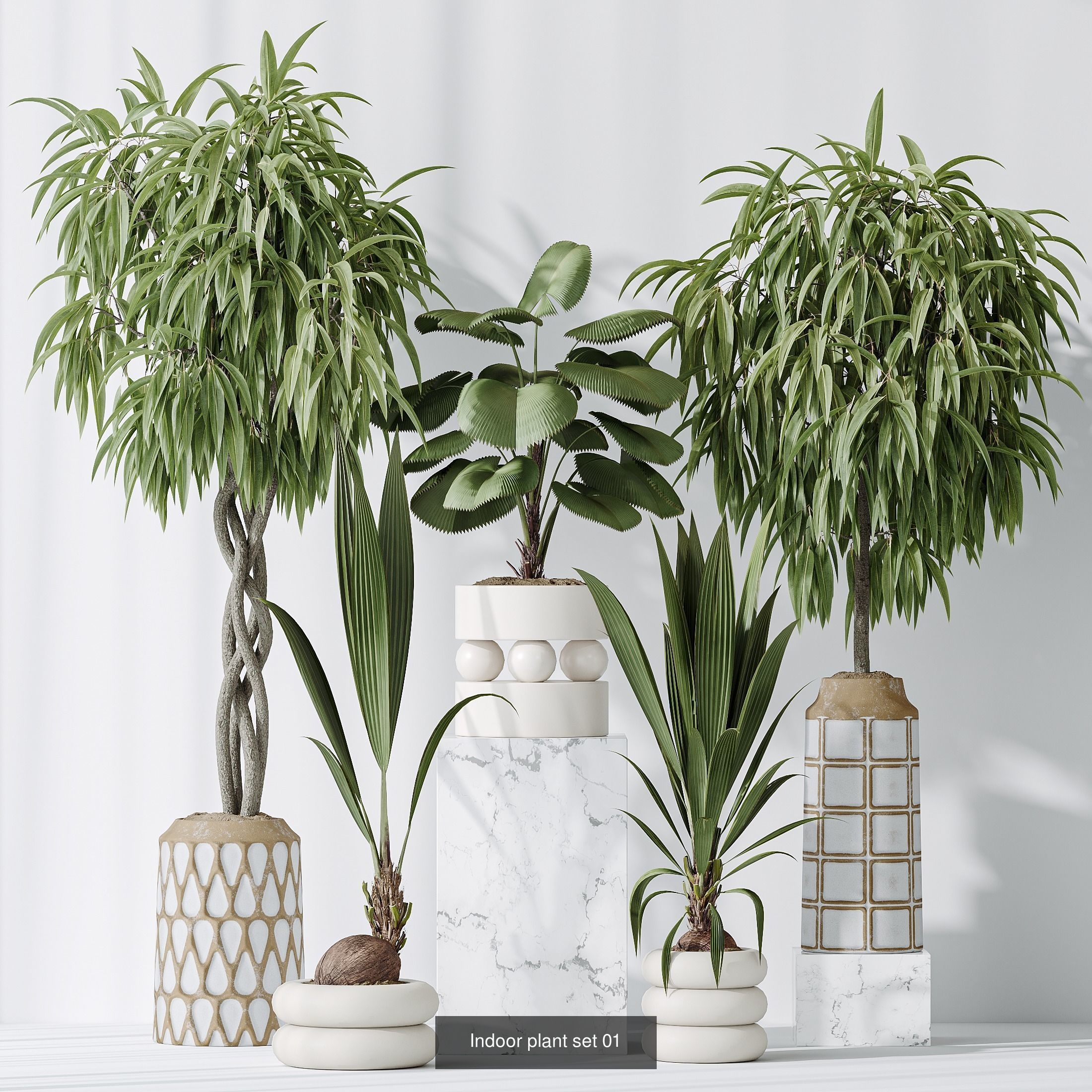 6 Different SETS of Plant Indoor SET VOL131 3D Model Collection_4