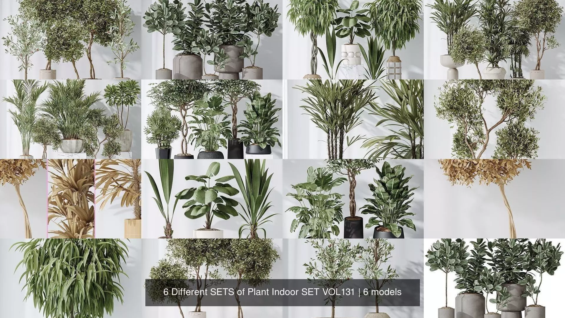6 Different SETS of Plant Indoor SET VOL131 3D Model Collection_1