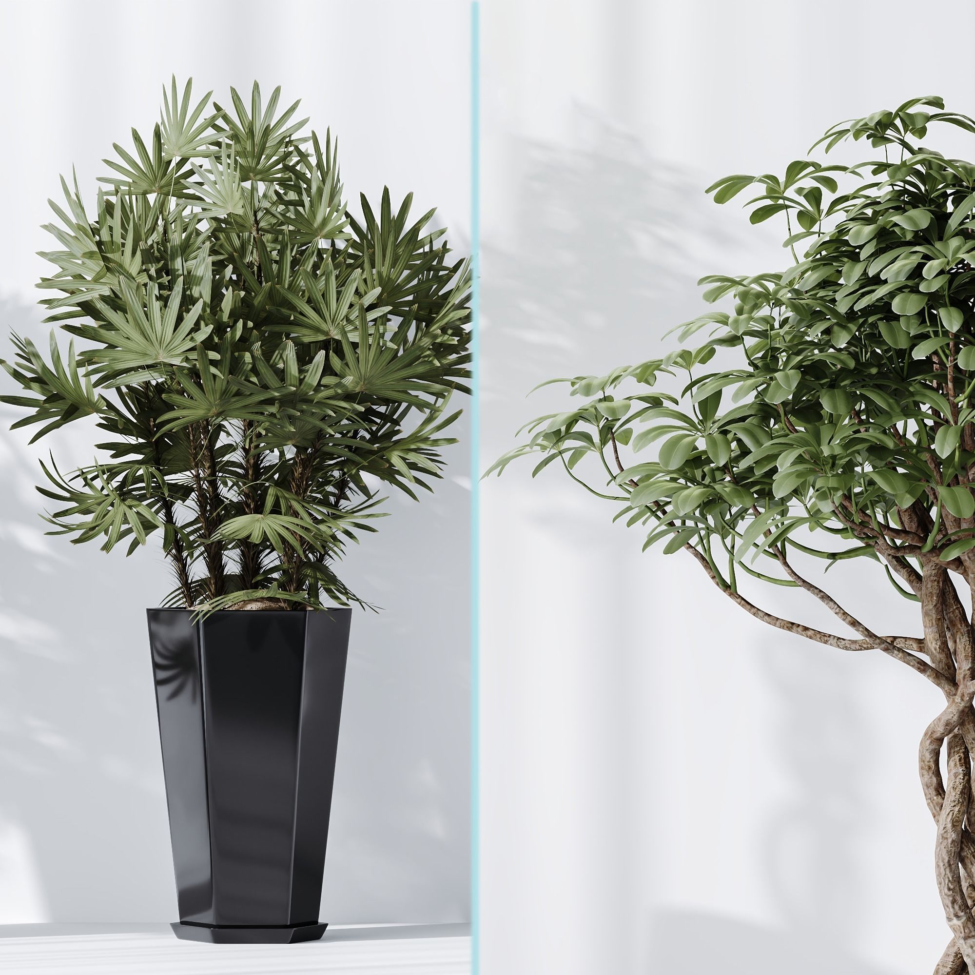 6 Different SETS of Plant Indoor SET VOL131 3D Model Collection_14