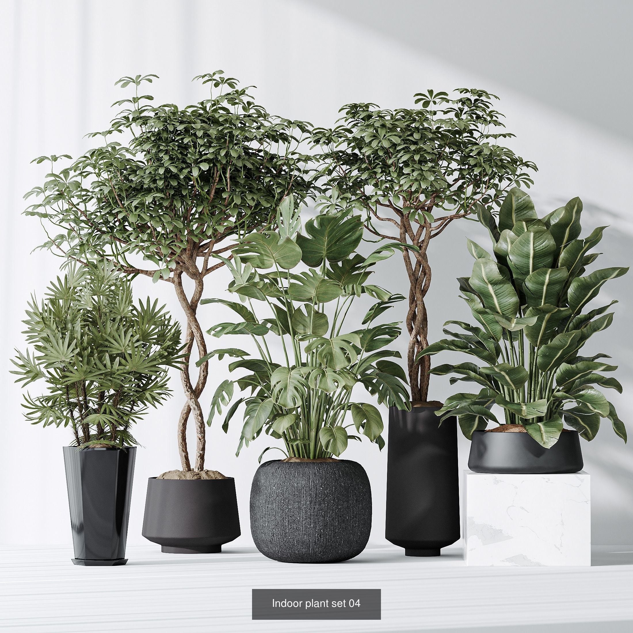 6 Different SETS of Plant Indoor SET VOL131 3D Model Collection_7