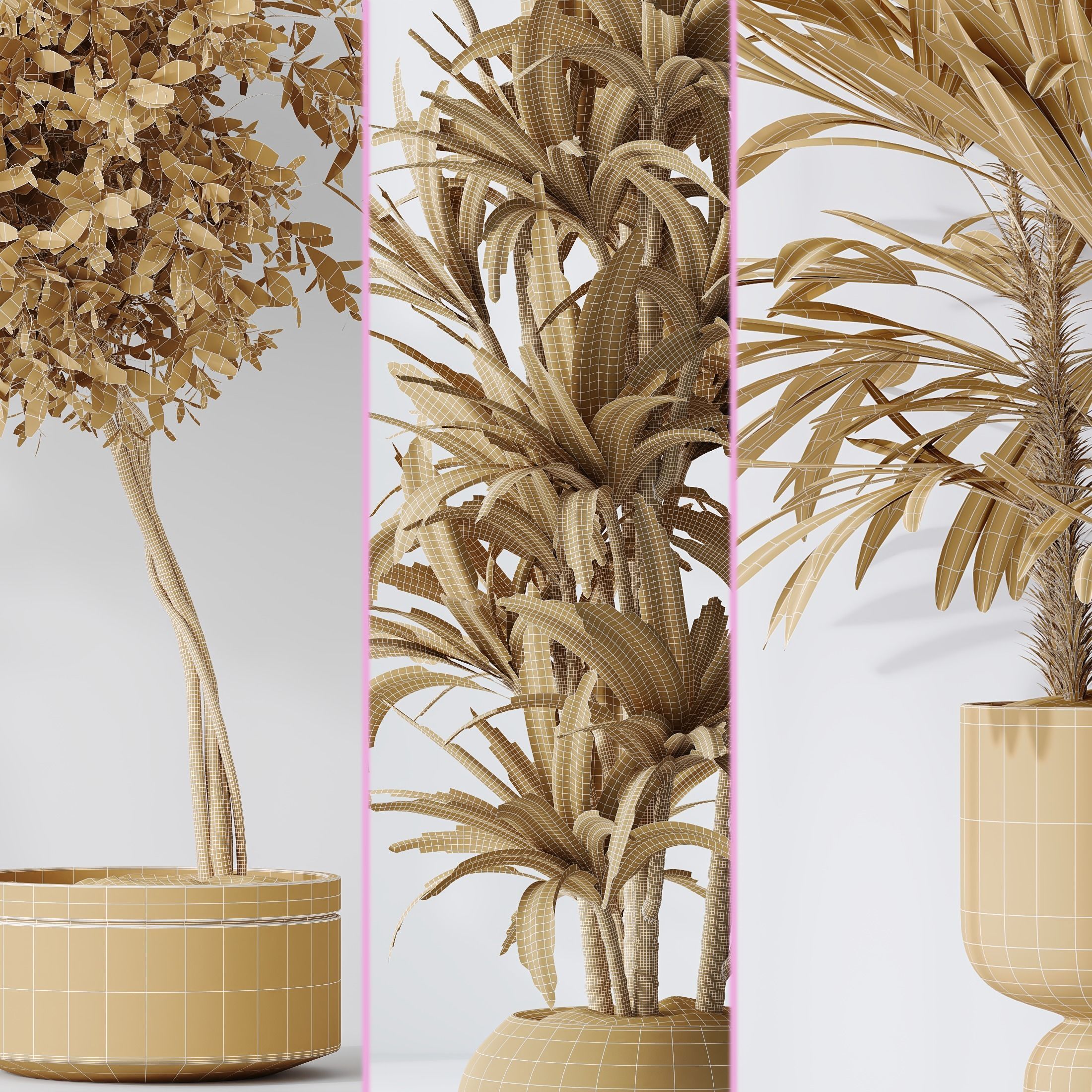 6 Different SETS of Plant Indoor SET VOL131 3D Model Collection_27