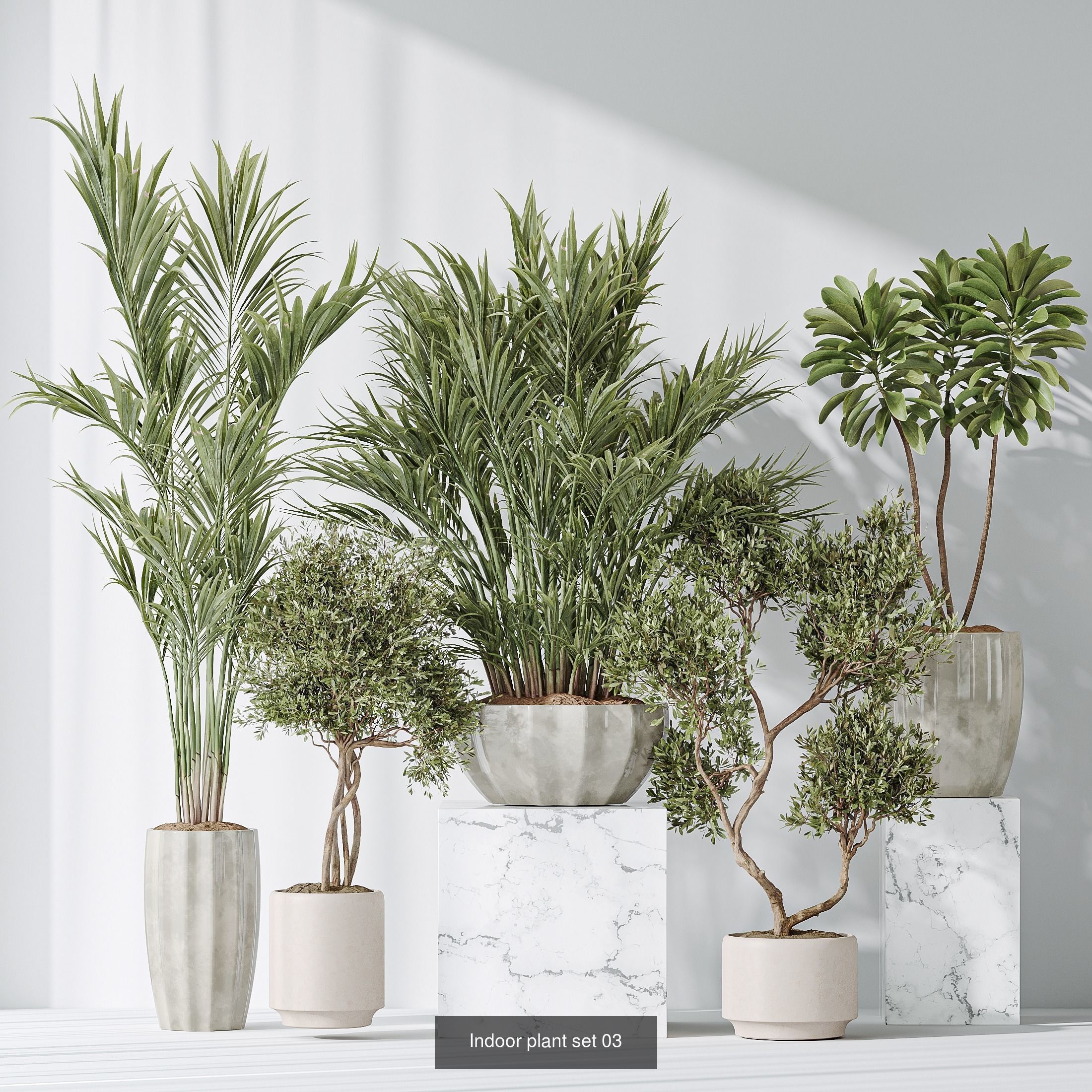 6 Different SETS of Plant Indoor SET VOL131 3D Model Collection_6