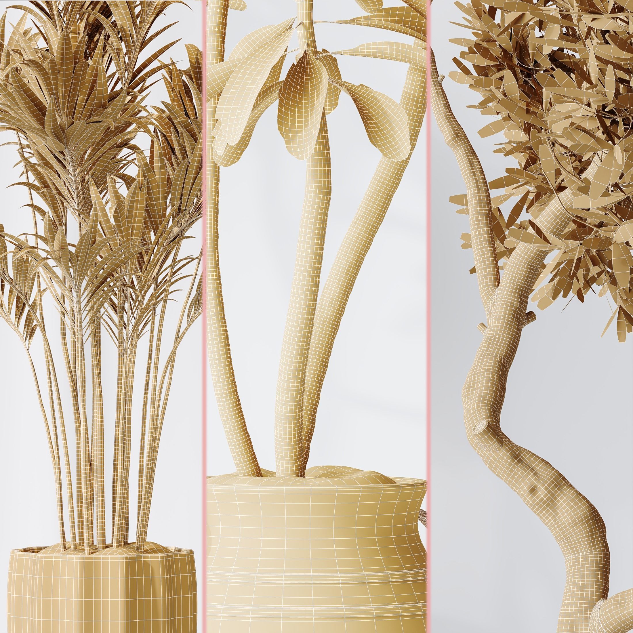 6 Different SETS of Plant Indoor SET VOL131 3D Model Collection_28