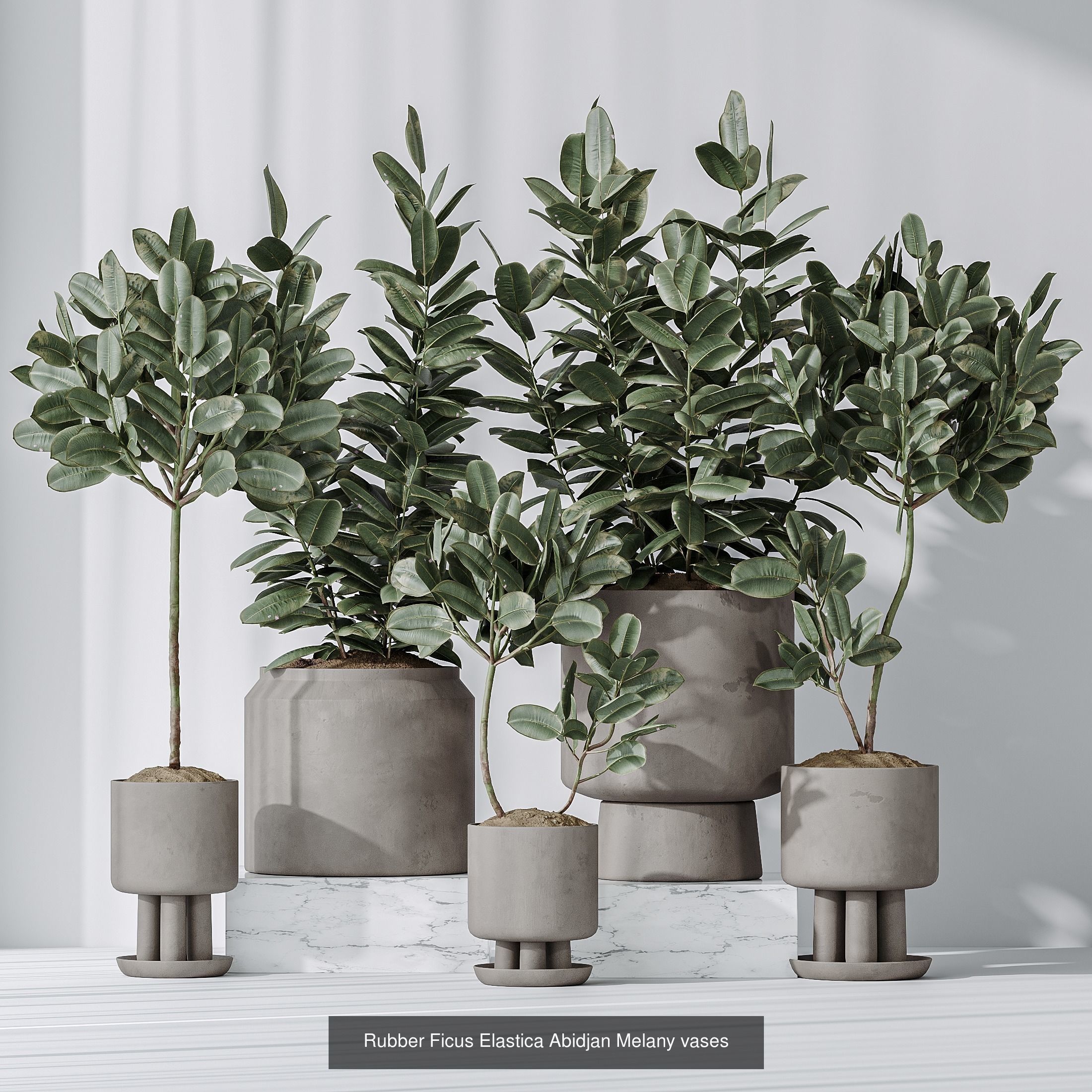 6 Different SETS of Plant Indoor SET VOL131 3D Model Collection_3