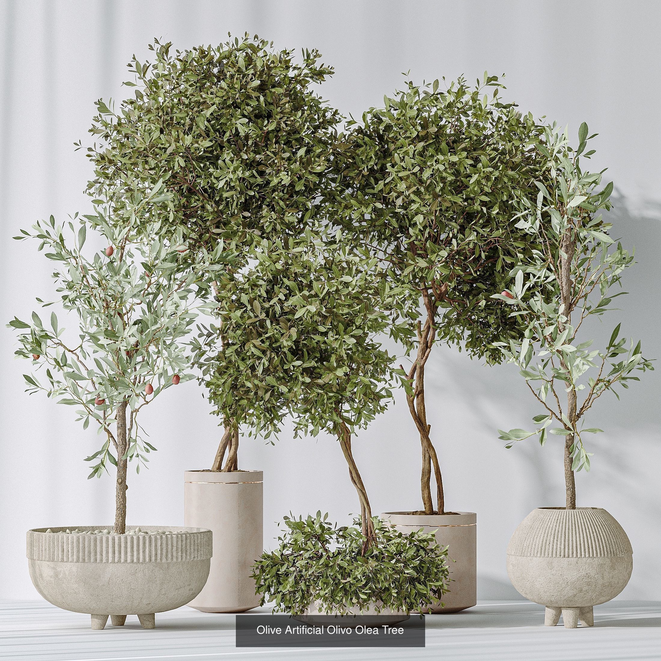 6 Different SETS of Plant Indoor SET VOL131 3D Model Collection_2