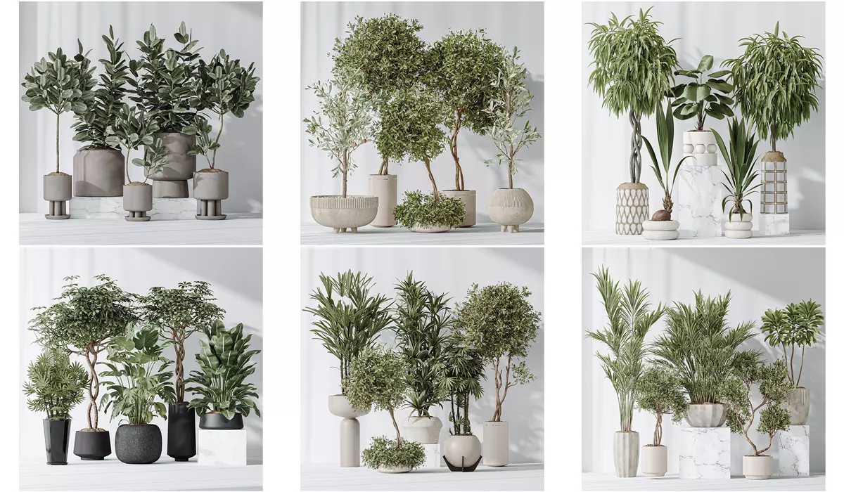 6 Different SETS of Plant Indoor SET VOL131 3D Model Collection_0