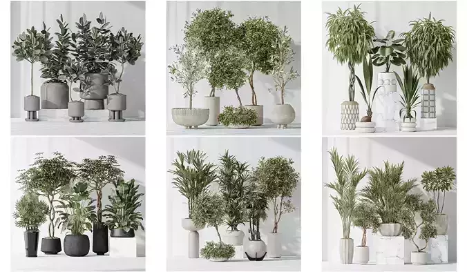 6 Different SETS of Plant Indoor SET VOL131 3D Model Collection