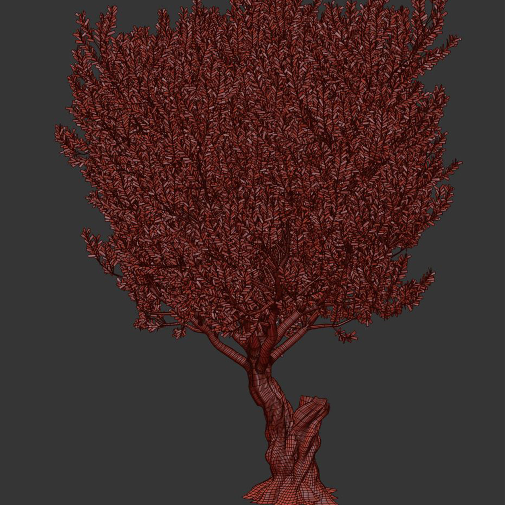 Olive Tree Set13 3D model_4