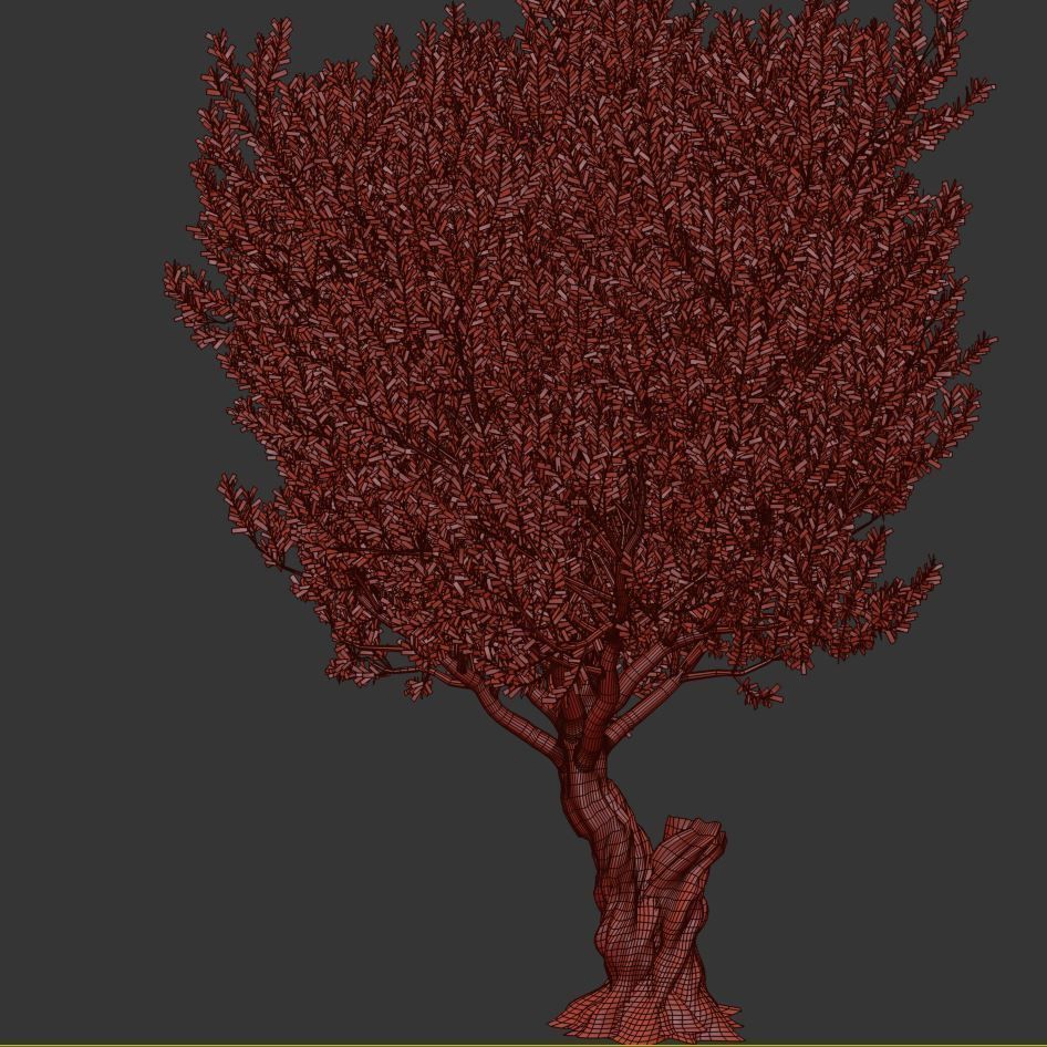 Olive Tree Set13 3D model_3