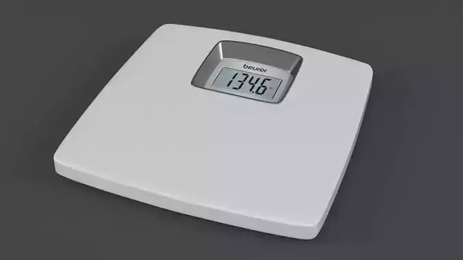 Digital Scale 3D model