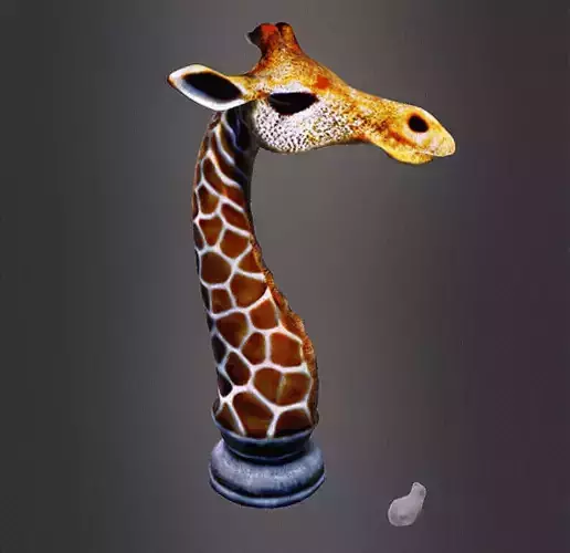 Giraffe Bust