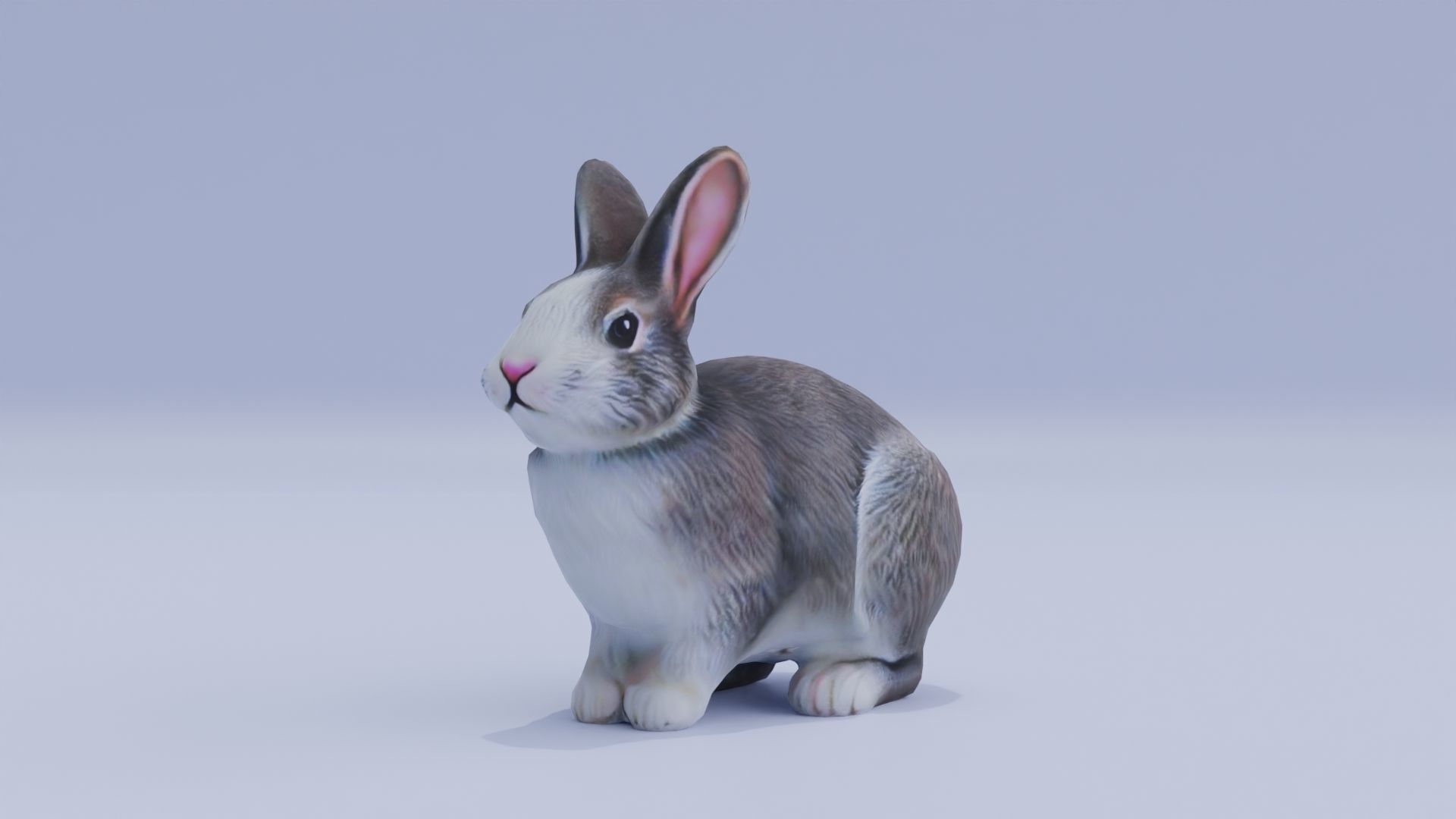 Realistic Bunny Rabbit Low-poly 3D model_1