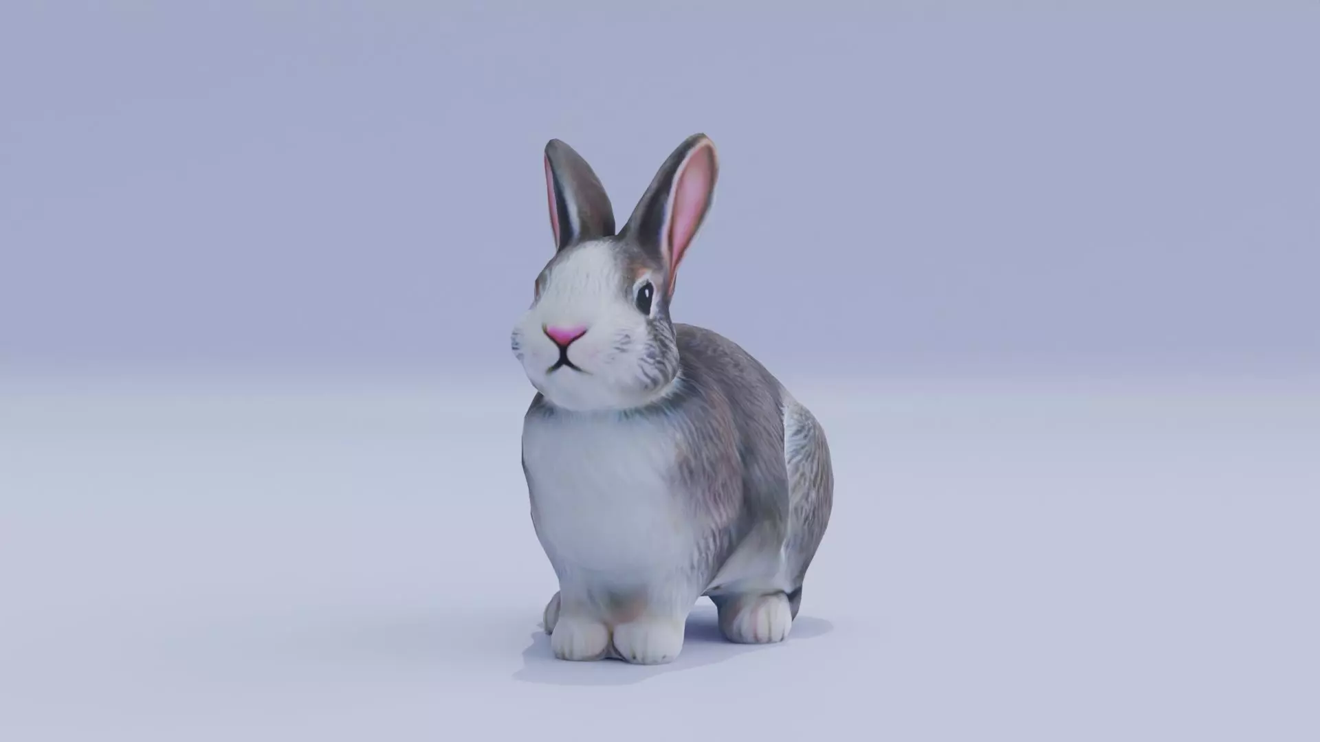 Realistic Bunny Rabbit Low-poly 3D model_0