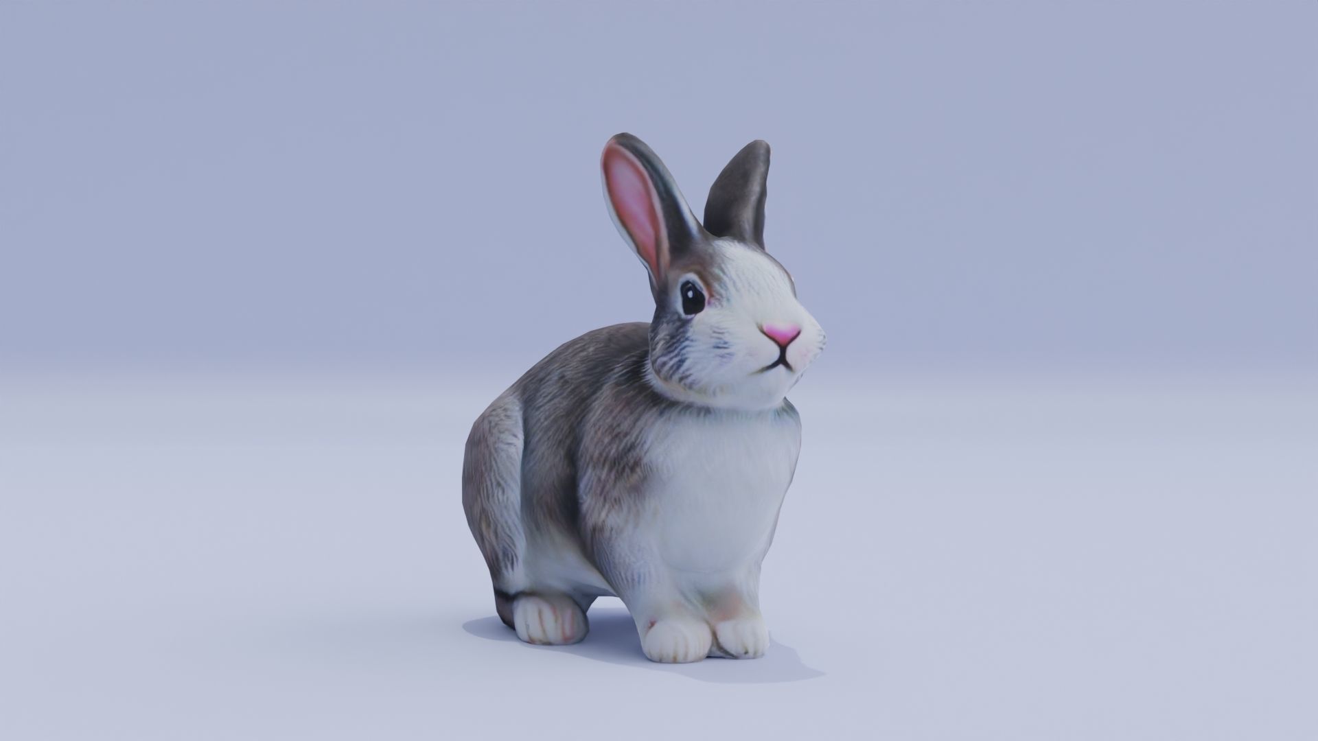 Realistic Bunny Rabbit Low-poly 3D model_11