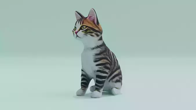 Cat Striped Tabby Cute