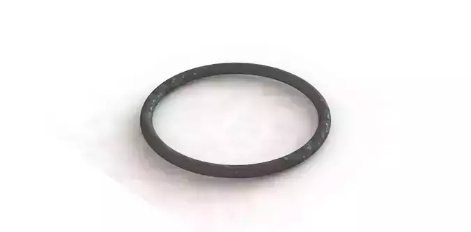 O Ring Vedabras 12572
