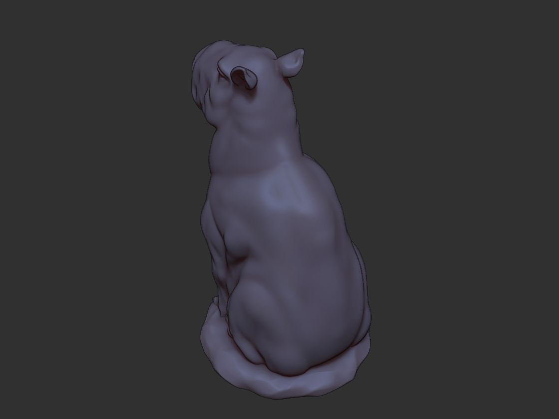 Capybara 3D print model_5