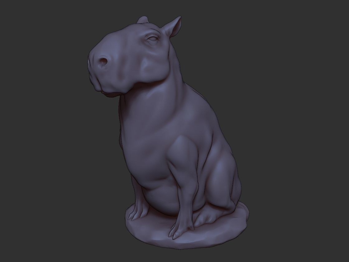 Capybara 3D print model_4