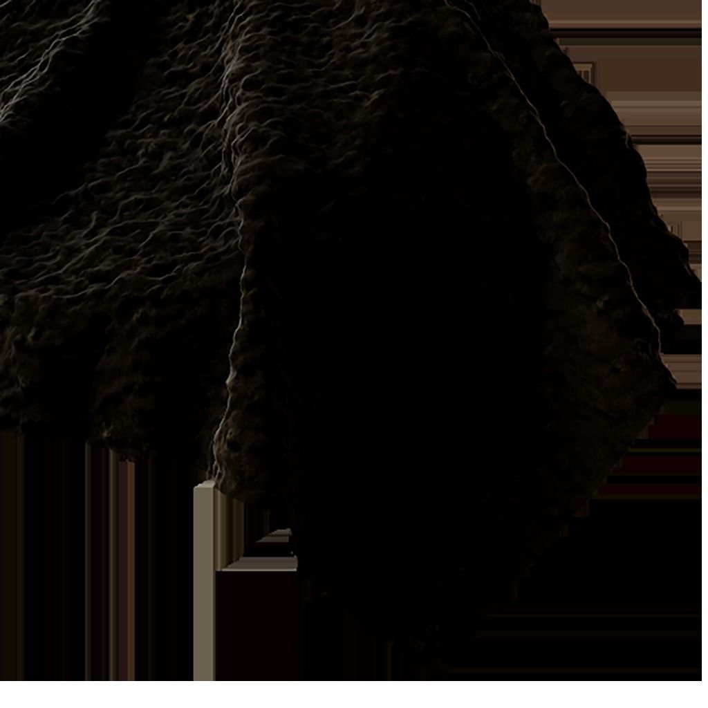 Fabric Seamless Texture 2K - EXR 5 - JPG 5 Texture Texture_3