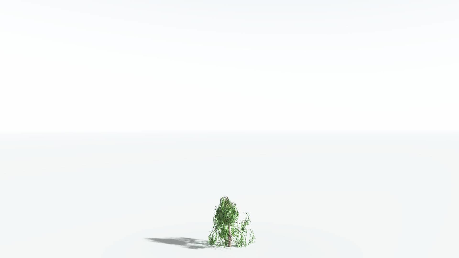 EVERYPlant Weeping Willow 2 --15 Models-- 3D model_25