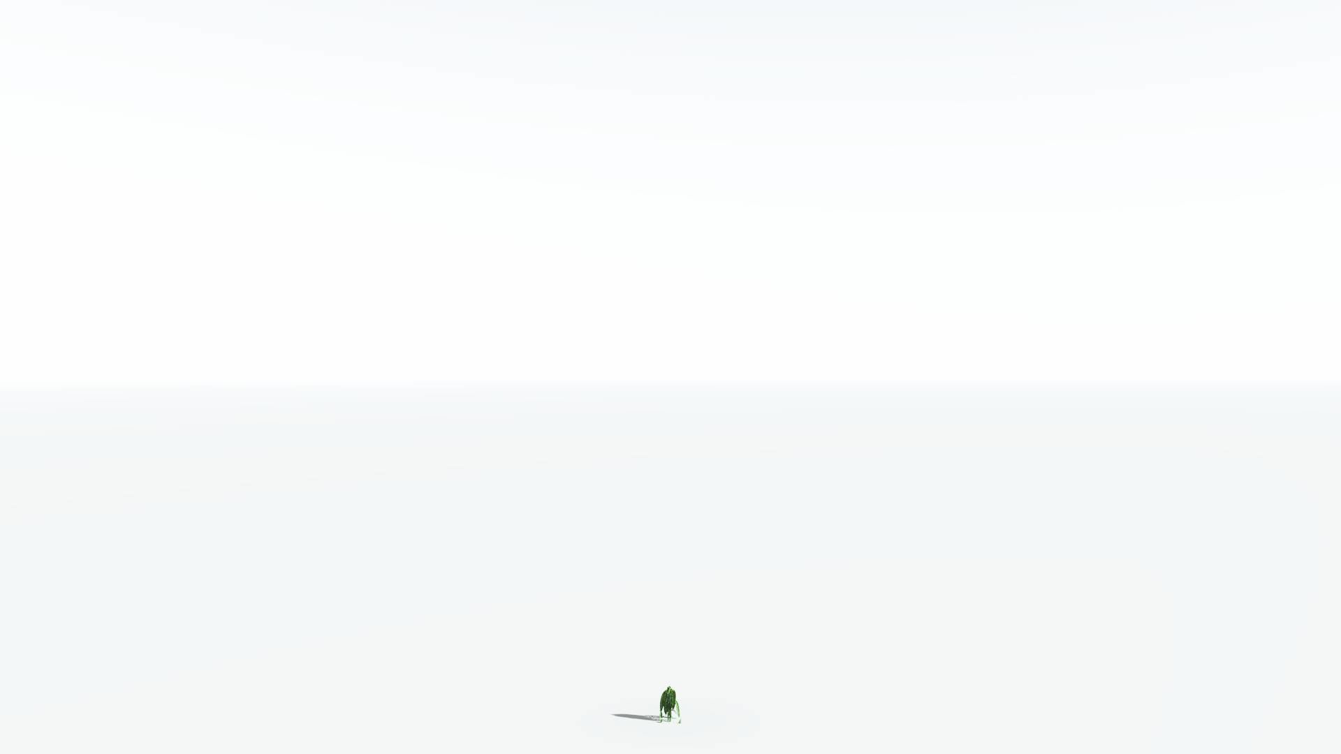 EVERYPlant Weeping Willow 2 --15 Models-- 3D model_27