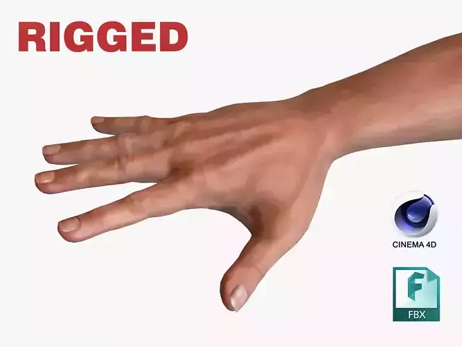 Male Hand Rigged for Cinema 4D FBX 3D Model Low-poly 3D model