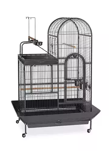 Nickelson Deluxe Parrot Bird Cage 