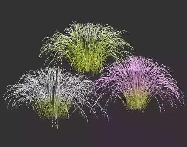 Purple Love Grass Collection Low-poly 3D model