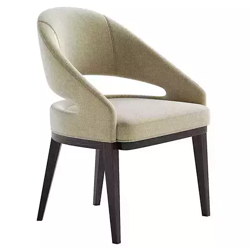 ALCOTT DINING CHAIR