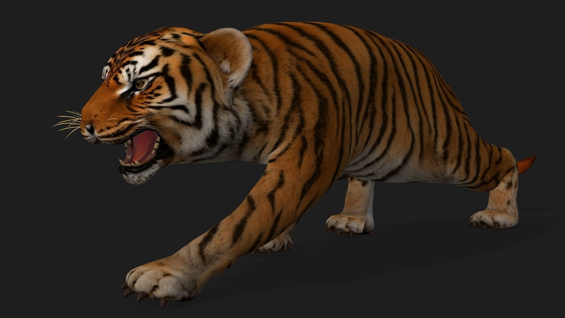 Tiger BaBy A1 3D model_14