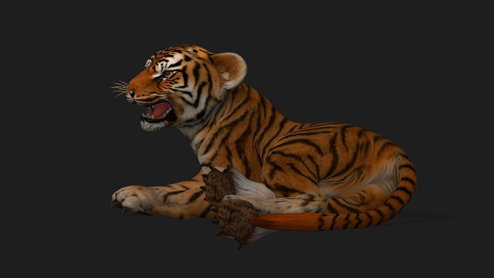 Tiger BaBy A1 3D model_7