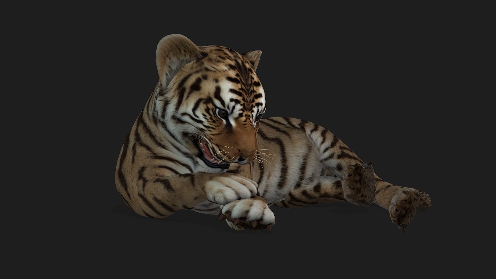 Tiger BaBy A2 3D model_5
