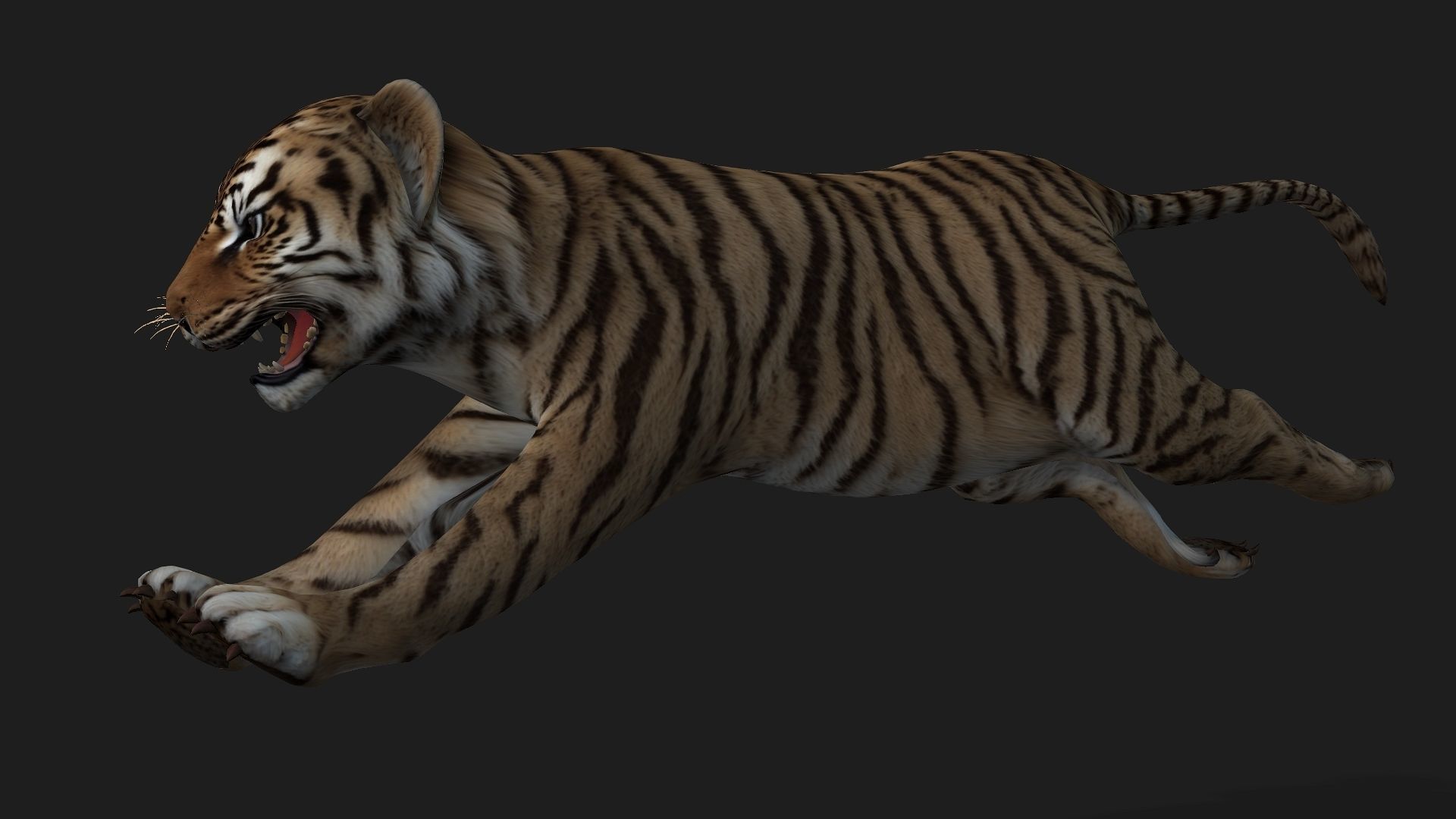 Tiger BaBy A2 3D model_8