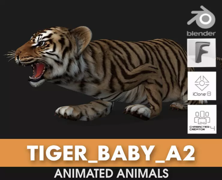 Tiger BaBy A2 3D model_0