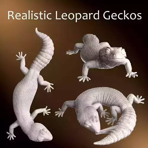 Leopard Gecko Realistic Reptile 3D Print Model 3D print model