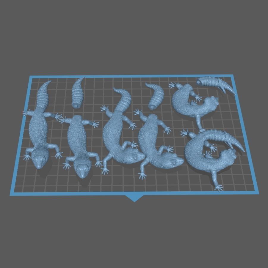 Leopard Gecko Realistic Reptile 3D Print Model 3D print model_10