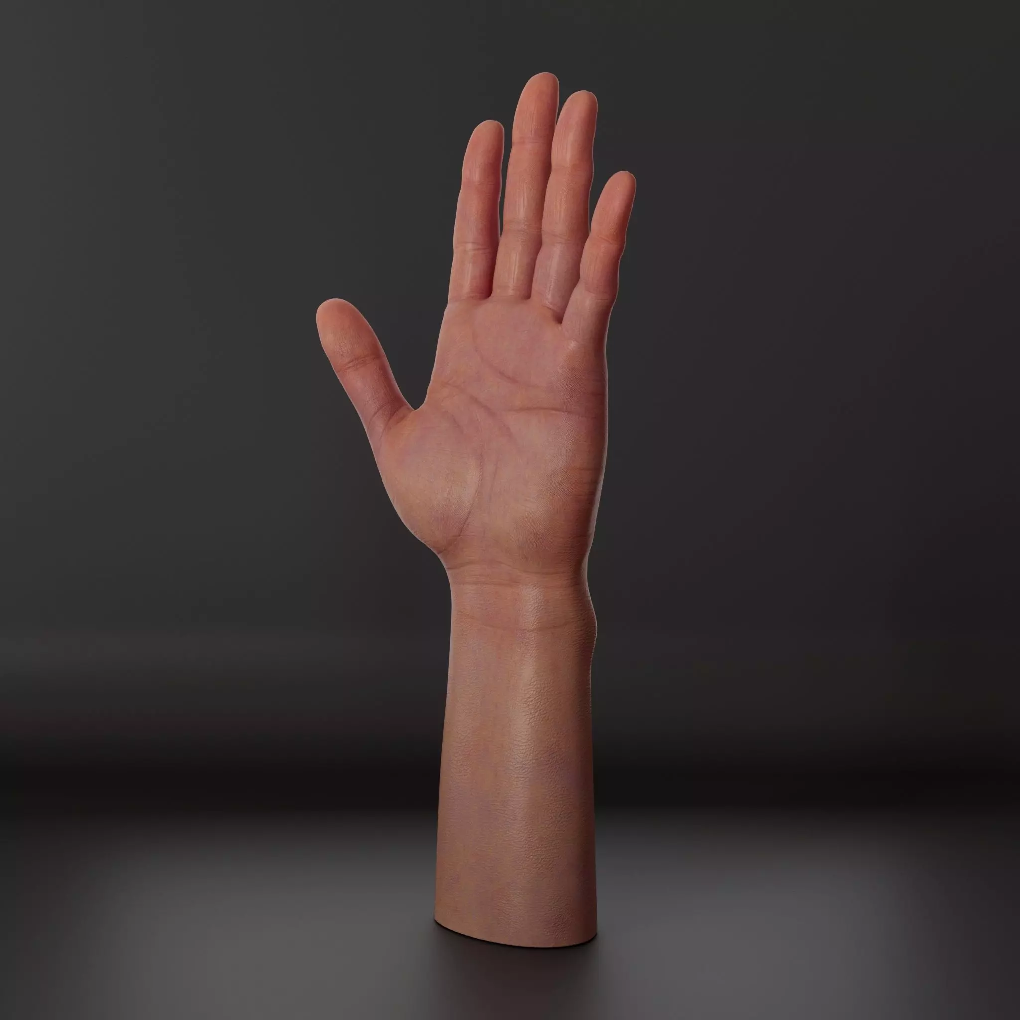 Realistic hand 3d model Low-poly 3D model_5