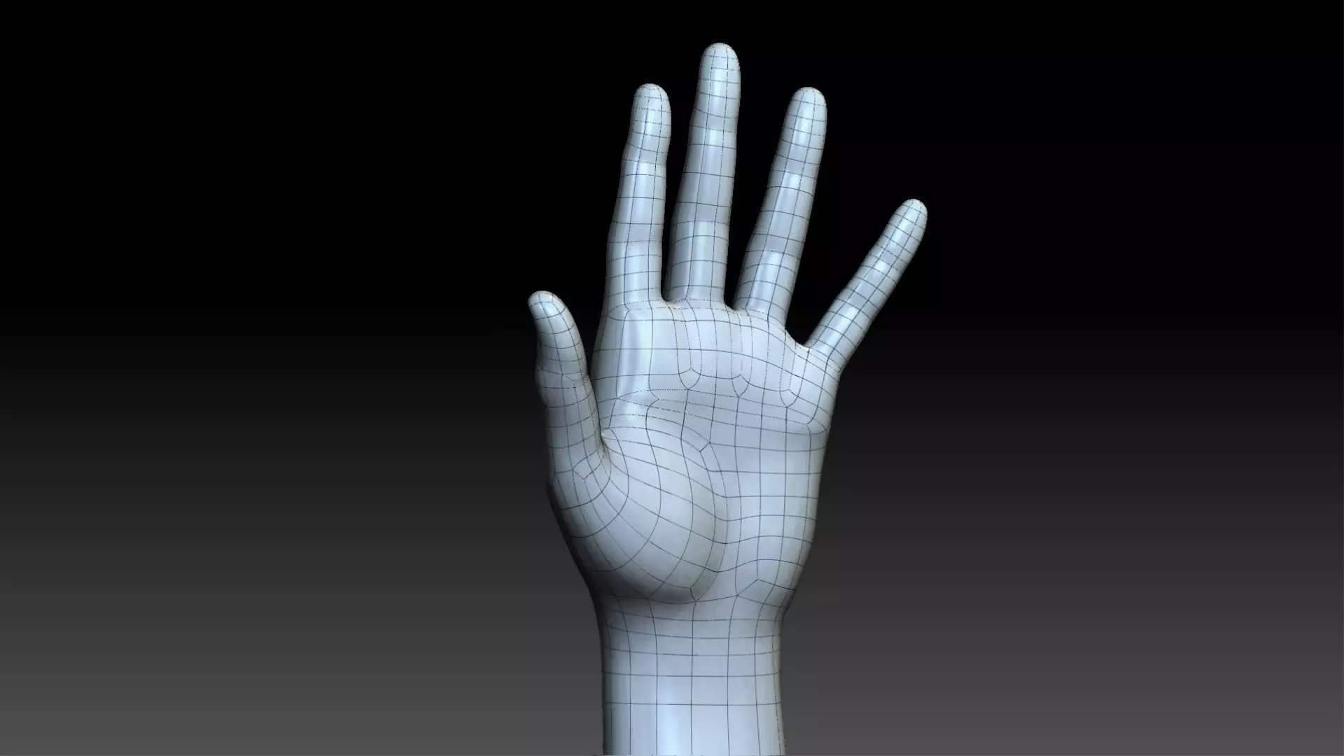 Realistic hand 3d model Low-poly 3D model_10
