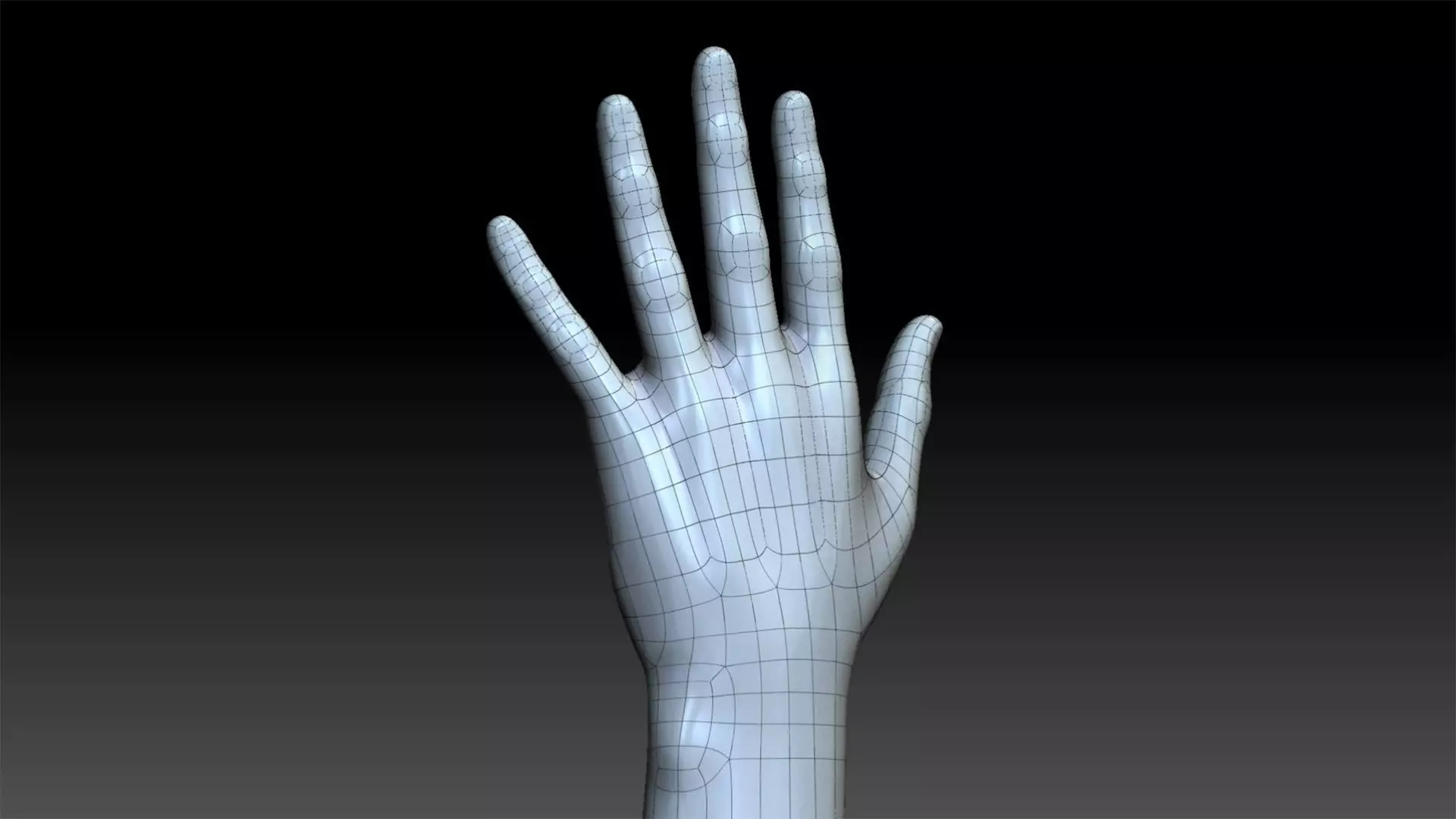 Realistic hand 3d model Low-poly 3D model_9