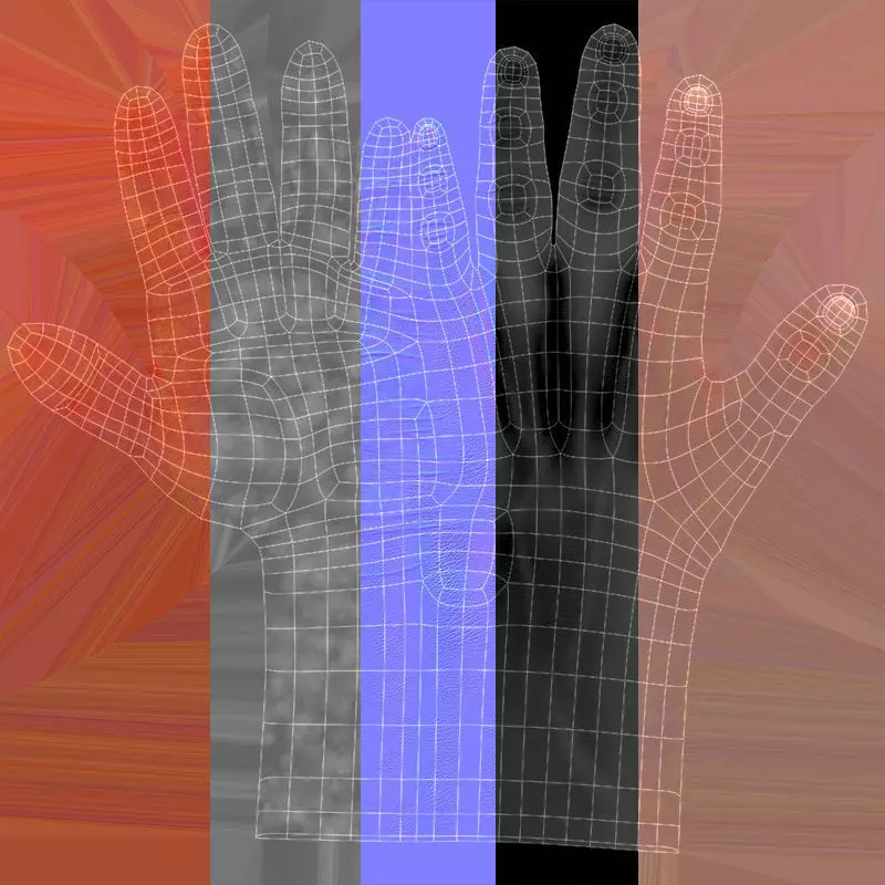 Realistic hand 3d model Low-poly 3D model_11